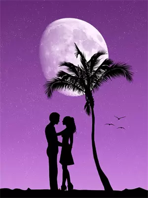 未婚妻离家出走了