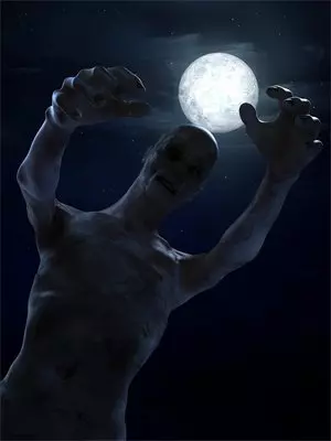 重生想做个安静的寡妇，结果夫君成皇帝了